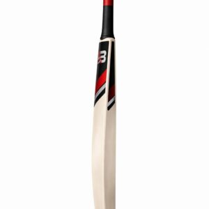 AB Sports Premium Cricket Bat